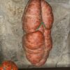 Sobrasada tradicional pultrus